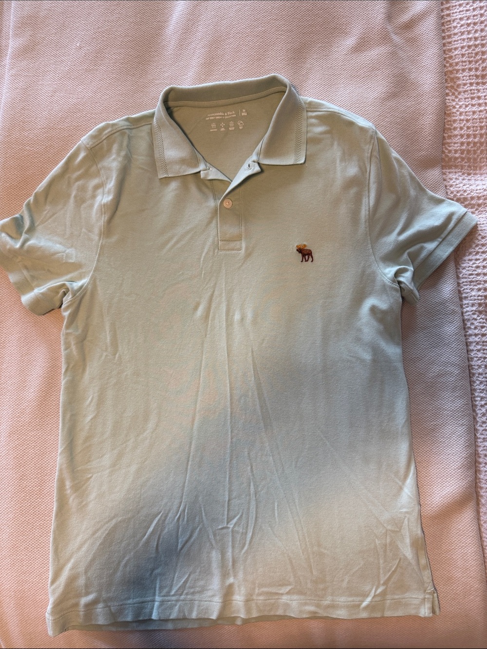 Abercrombie & Fitch Pale Green Men's Pique Polo